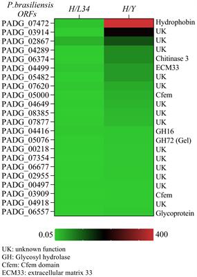 Identification and immunogenic potential of glycosylphosphatidylinositol-anchored proteins in Paracoccidioides brasiliensis